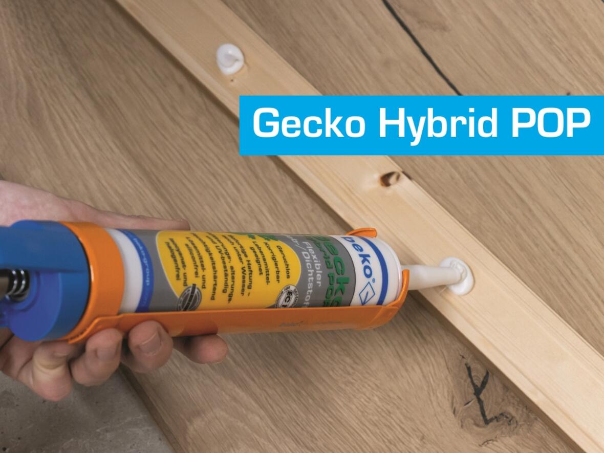 gecko-hybrid-pop